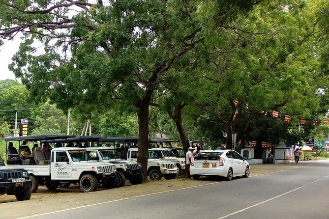 From: Ella - YALA Safari - Drop off: Arugam Bay / Arugambay - Who should book this safari (and who should skip it)