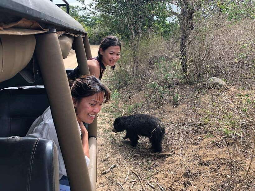 From Ella: Yala Safari Tour with Drop at Tangalle/Hiriketiya - Inside Yala: how the 4-hour safari really works