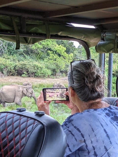 From Ella: Yala Safari & Transfer to Tangalle/Mirissa/Galle - Should you book the Ella to Yala safari and south-coast stops?