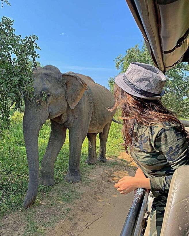 From Ella: Yala Safari with Tangalle/Mirissa/Galle Drop-off - Key things I’d plan around