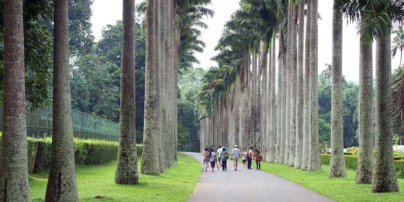 From Kandy: Pinnawala Day Tour - The best part: turning Pinnawala into a meaningful elephant day