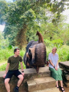 From Kandy : Pinnawala Elephant Orphanage & Ambuluwawa Tower - Kandy morning start: Bahirawakanda Temple and a fast sense of place