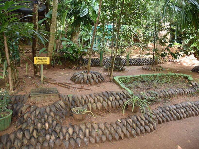 From Kandy: Sigiriya Guided Tuk-Tuk Tour - A ten-hour Kandy-to-Sigiriya plan that stays flexible