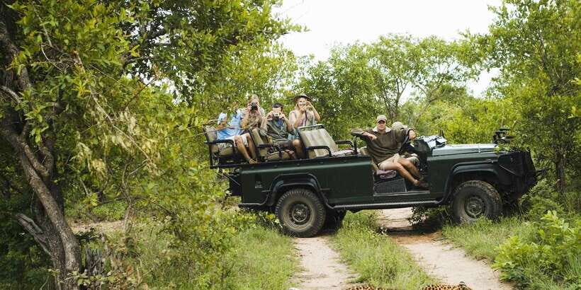 From Negombo: Wilpattu National Park Safari Guided Day Tour - Guides and driving style: why it can change your day