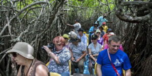 Galle and Bentota Day Tour from Colombo - Madu Ganga Boat Safari: Mangroves, Stilt Fishermen, and Money Details