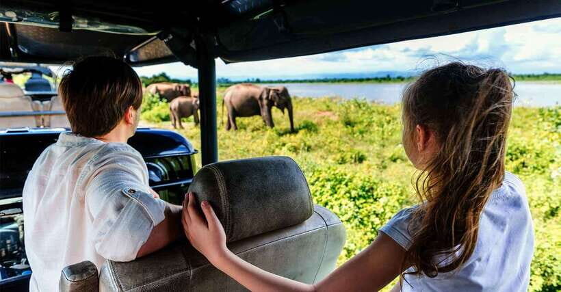 Galle/Mirissa/Hiriketiya: Drop to Ella & Udawalawa Safari - The Pickup: Door-to-Door, With Real Comfort on a Long Route