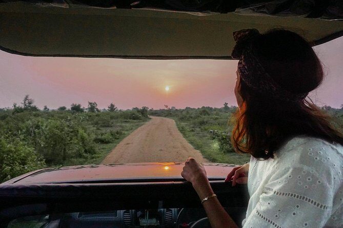 Half Day Udawalawe Safari (Entrance + Lunch) - The morning schedule: early pickup, park arrival, then a 3-hour jeep hunt