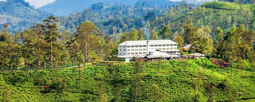 Hikkaduwa/Galle/Mirissa/Hiriketiya/Tangalle:Day Trip to ELLA - The Demodara to Ella Train: The Core Experience