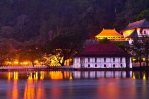Kandy and Pinnawala Private Day Tour from Colombo/Negombo - Tea factory visit: What you get in an hour (and what you can ask)