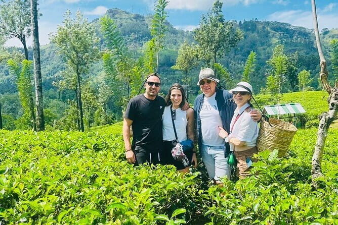 Kandy City Day Tour - New Ranweli Spice Garden: learning why Sri Lanka tastes the way it does