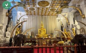 Kandy: City Explore with Local Guide By Tuk Tuk - Start with pickup and route planning that actually saves time