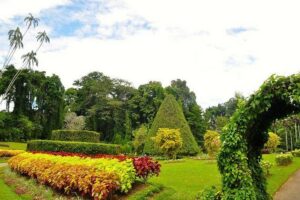 Kandy City Tour by Lux Tours Lanka - The driver-guide factor: how Laxman (and Chanaa) improve your day