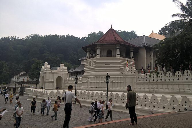 Kandy Day Tour From Colombo - Kandy Lake and the view point: short walk, strong payoff