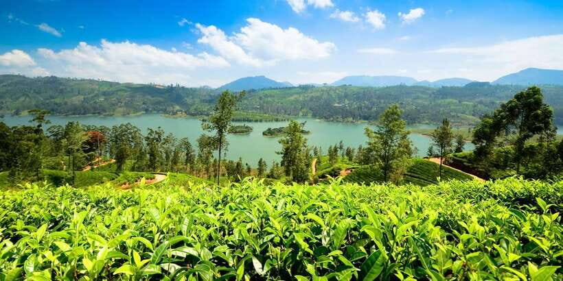 Kandy: Nuwara Eliya Day Trip - Price and value: what $27 buys on a 10-hour loop