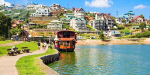 Kandy: Nuwara Eliya Day Trip - Wood Carving Family Workshop: crafts that don’t feel like a souvenir trap