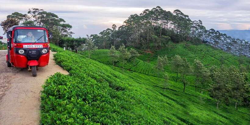 Kandy: Nuwara Eliya Day Trip - Ramboda Waterfall + viewpoint stops: the scenery hit you can’t fake