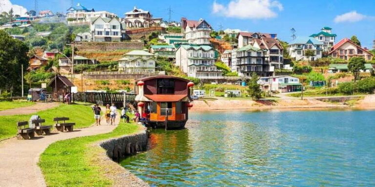 Kandy: Nuwara Eliya Day Trip - Wood Carving Family Workshop: crafts that don’t feel like a souvenir trap