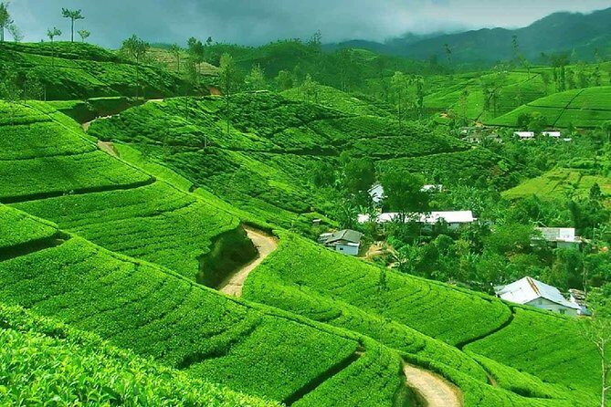 Kandy to Nuwara Eliya Private Day Tour - Morning start: Sita Temple near Seetha Eliya (quick culture stop)