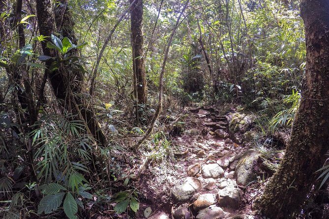 Knuckles Leopard trail Trek from Kandy - Weather realities: when good conditions make the trail feel easier