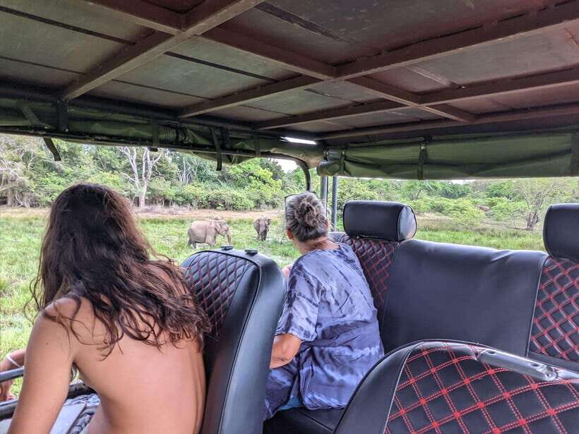 Kumana National Park : Morning or Afternoon Safari Tour - Inside Kumana: Kumana Villu and Kumbukkan Oya
