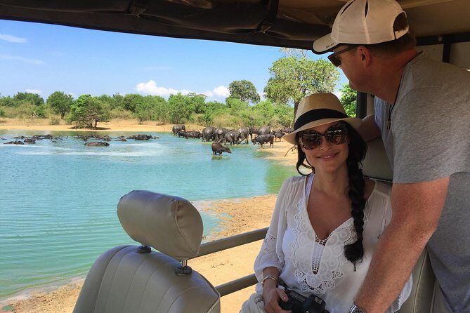 Leopard Safari Tour in Yala National Park - Key Things You Should Know