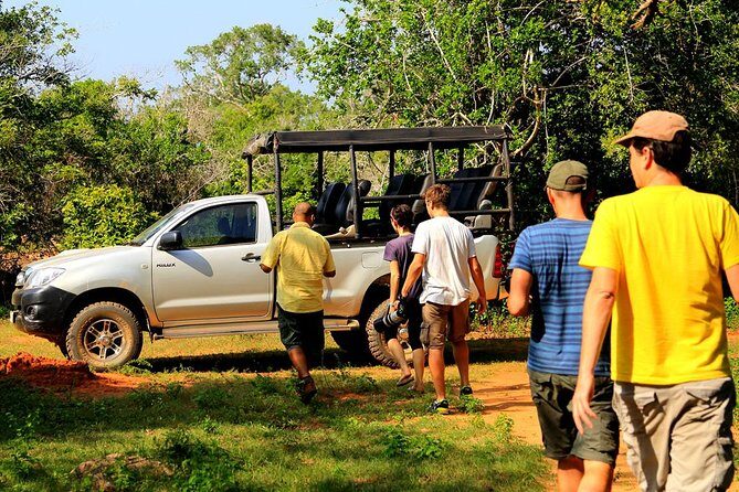 Leopard Safari Tour in Yala National Park - Guides, English levels, and the art of spotting fast