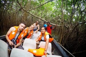 Madu River Boat Safari Balapitiya - From mangroves to islands: spotting wildlife without getting stuck on theory