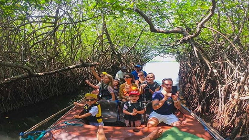 Madu River Boat Tour and Cinnamon Garden visit - Wildlife spotting you can actually enjoy (not just hope for)
