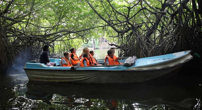 Madu River Boat Tour and Cinnamon Garden visit - Optional fish massage: weird in a good way
