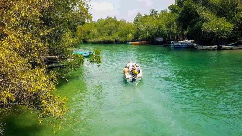 Madu River Boat Tour and Cinnamon Garden visit - The Madu River boat ride: slow enough to watch, fast enough to feel alive