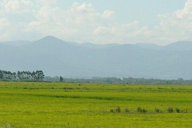 Minneriya National Park | Private Safari - What’s included in the $25 price (and what isn’t)