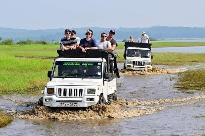 Minneriya National Park Safari - Private Jeep with Hotel Pickup - When elephants shift: possible changes toward Hurulu or Kaudulla