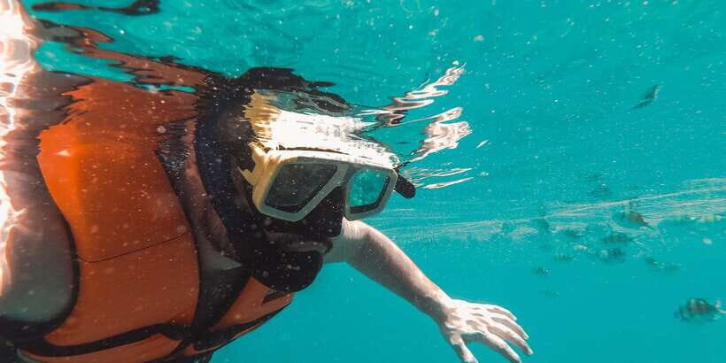 Mirissa: Snorkeling Experience with Turtles - Boat ride plus reef time: what you gain from the short format