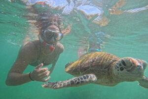 Mirissa Unforgettable Snorkeling Experience with Turtles - What happens in the 2-hour turtle swim (the flow you’ll feel)