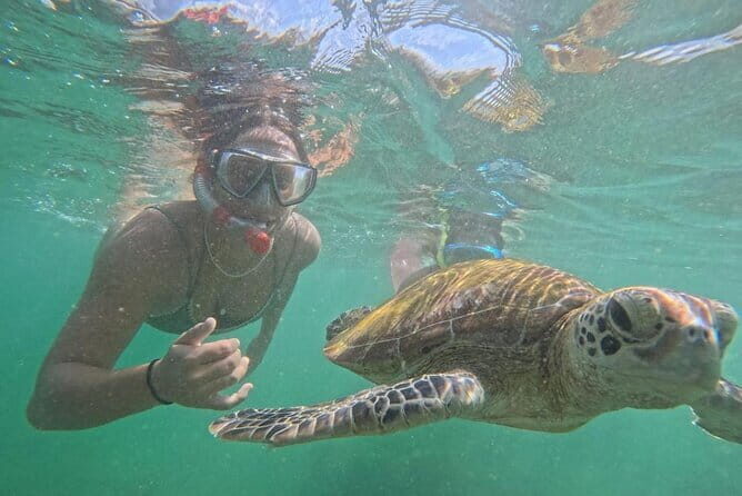 Mirissa Unforgettable Snorkeling Experience with Turtles - What happens in the 2-hour turtle swim (the flow you’ll feel)