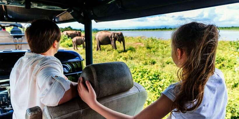 Mirissa/Weligama/Galle/Tangalle: Drop to Ella & Yala Safari - Cost and Value: What $43 Covers Versus What Yala Charges Separately