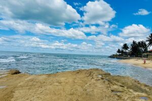 Negombo City Tour by Tuk Tuk with hotel pickup - Price and Value: What $25.90 Includes (and What It Doesn’t)