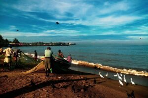 Negombo Day Tour - Price and value: why $35 can make sense here
