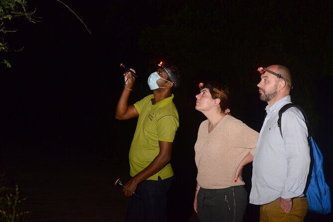 Night Hike to see Elusive & Rare Loris in Sigiriya - Where You Start at Rocko’s Vegetarian Cafe (And Why It Matters)