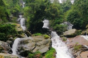 Nuwara Eliya Tea factory and waterfall tour - Stop 1: Damro Labookellie Tea Centre and Tea Garden (free entry, ~1 hour)