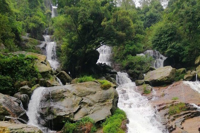 Nuwara Eliya Tea factory and waterfall tour - Stop 1: Damro Labookellie Tea Centre and Tea Garden (free entry, ~1 hour)