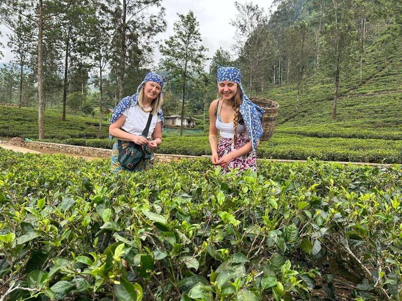 Nuwara Eliya Tuk-Tuk Tour Tea Picking,Tasting &Ramboda Falls - Riding a tuk-tuk is the point (and the advantage)