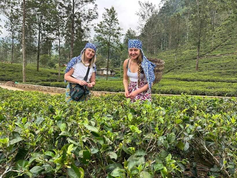 Nuwara Eliya Tuk-Tuk Tour Tea Picking,Tasting &Ramboda Falls - Viewpoints along the road: where the driver’s local sense shows