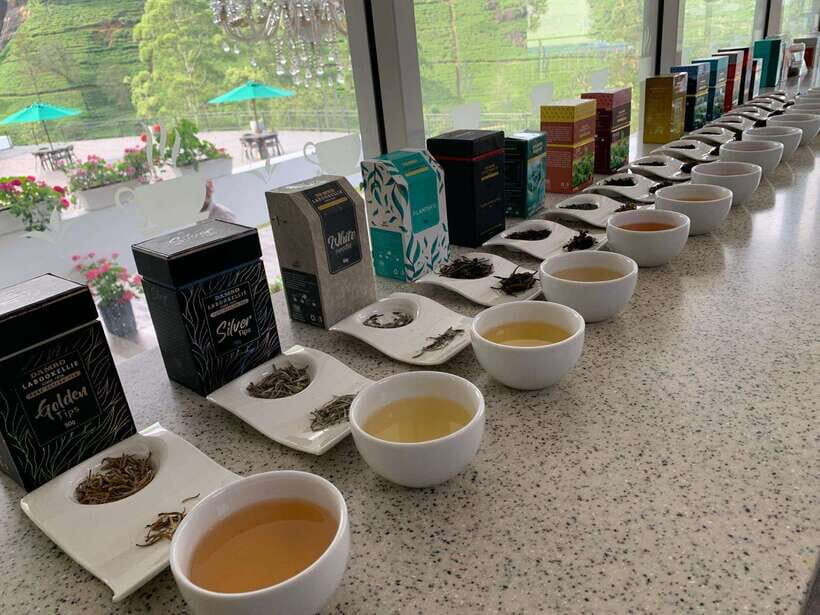 Nuwara Eliya Tuk-Tuk Tour Tea Picking,Tasting &Ramboda Falls - What you should budget for (value math, not just a price tag)