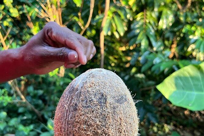 Organic cooking class sigiriya (kumara & family) - Practical Tips to Make Your Day Smoother