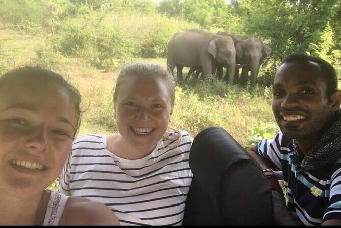 Paradise Udawalawe Safari Tours - Small-Group Safari with Private Transport (and Why It’s Worth It)