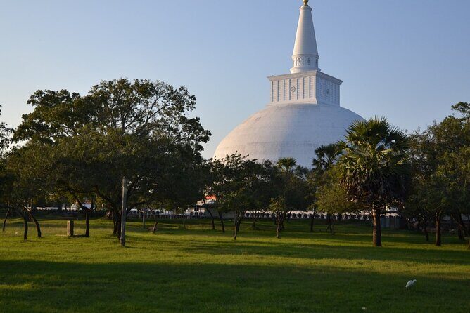 Private City Day Tour in Anuradhapura - Thuparama and Isurumuniya: Oldest Stupa and Rock Carvings