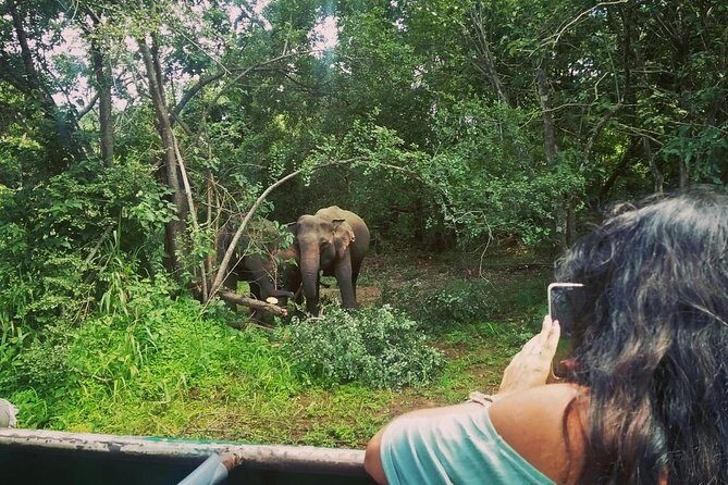 Private Dambulla Sigiriya Tour from Kandy with Lunch - Why a Kandy-to-Sigiriya private day trip is easier than DIY