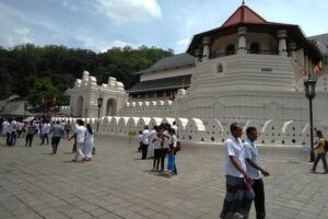 Private Day trip Kandy & pinnawala with your selected attractions - Island Spice Grove herbal garden: what you’ll actually do there
