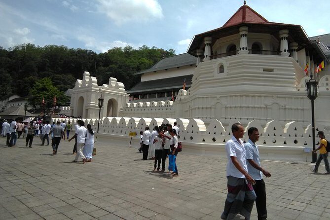 Private Day trip Kandy & pinnawala with your selected attractions - Island Spice Grove herbal garden: what you’ll actually do there